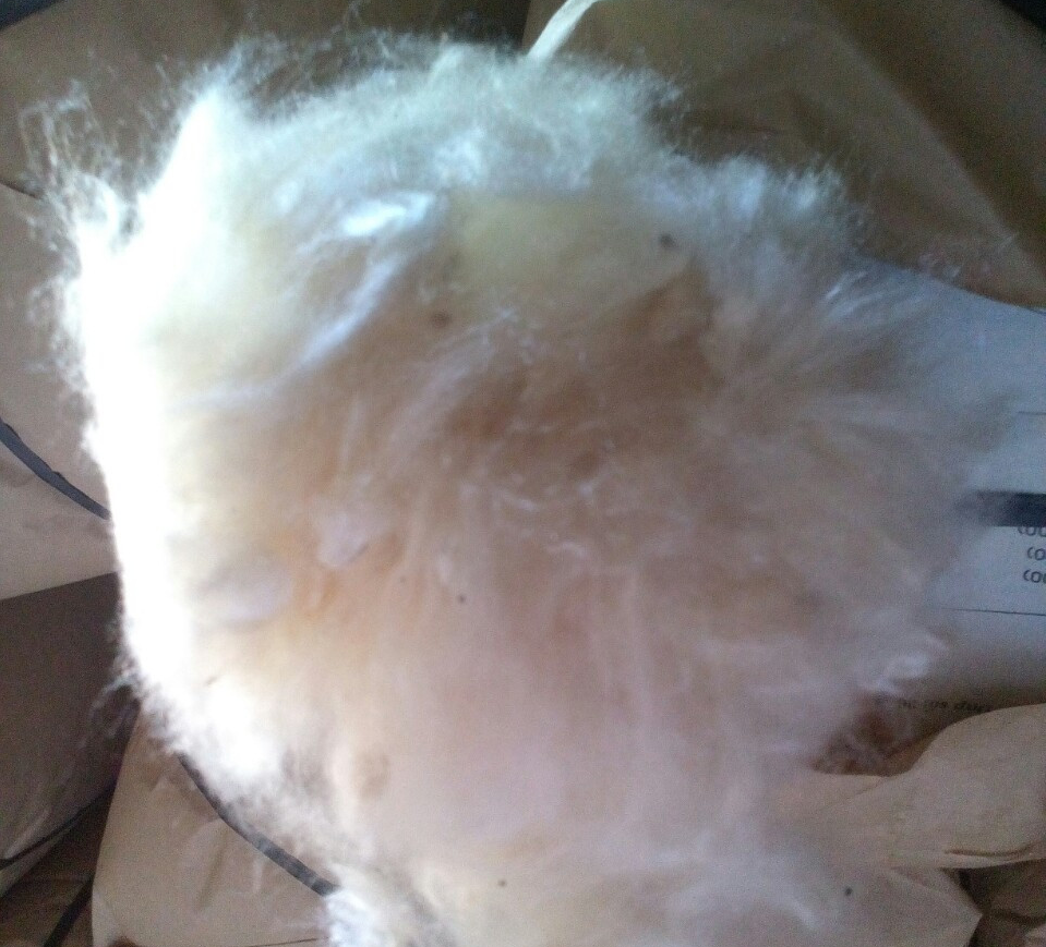 Export-grade kapok fiber close-up — silky hollow-core natural filling fiber from Loop Farms Java Indonesia